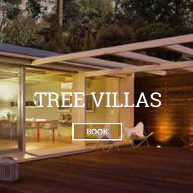 Tree Villas