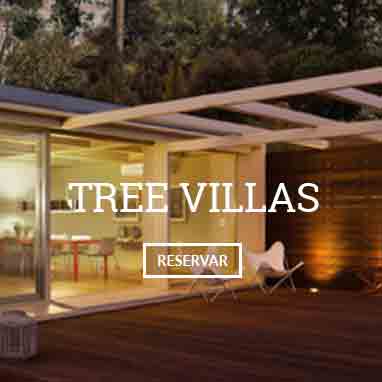 Tree Villas